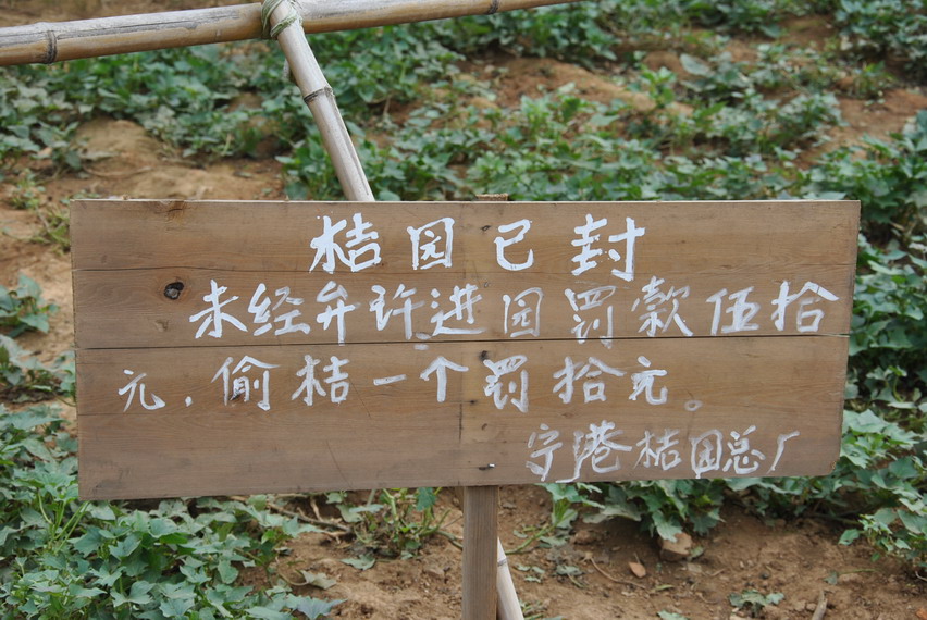 dsc_4030.jpg