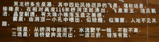 img_9991.jpg