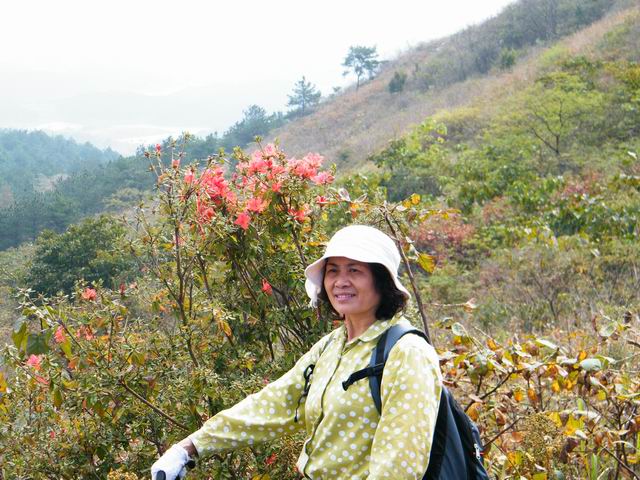 С dscf0708.jpg