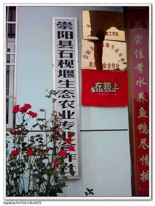 dsci0001.jpg