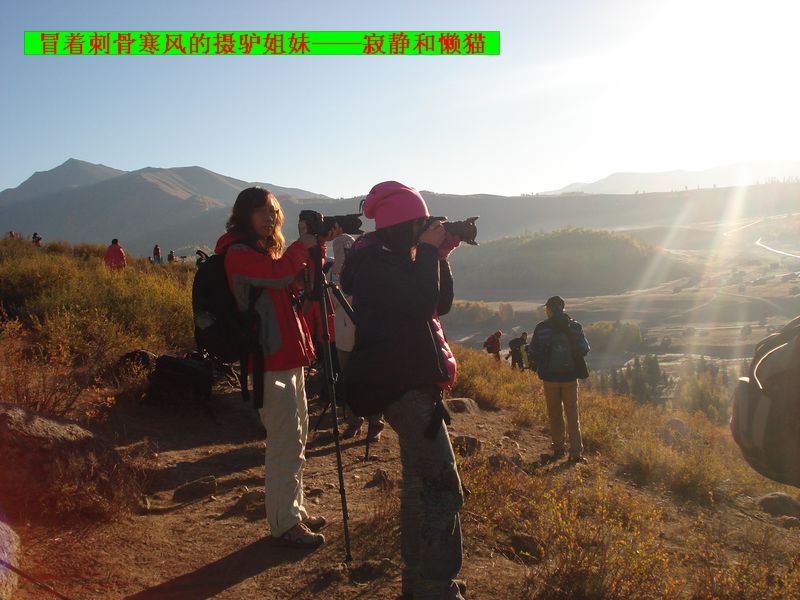 dsc08570  10.jpg