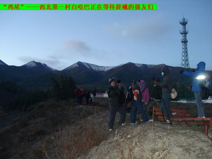dsc08068   12.jpg