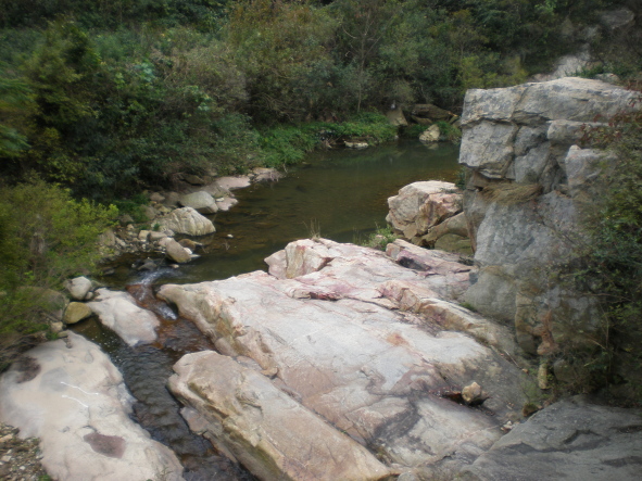 20101024_94.jpg