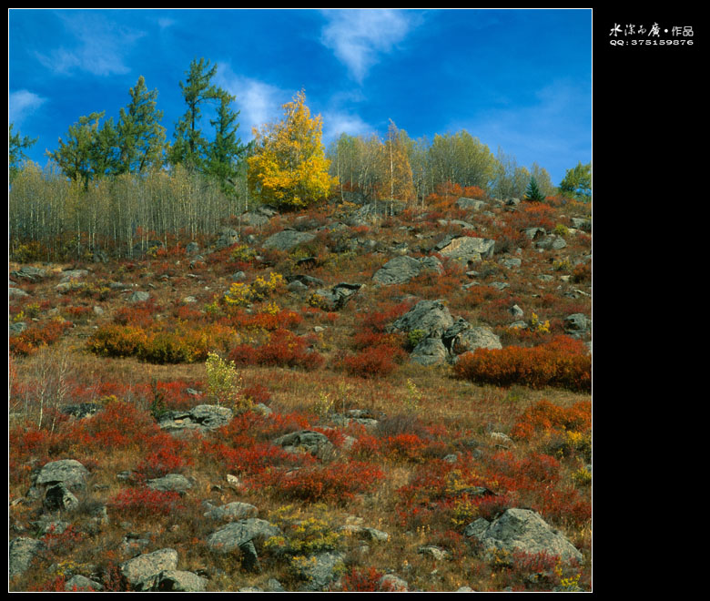 scan-101015-0036.jpg
