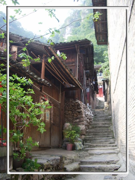 imgp0077.jpg