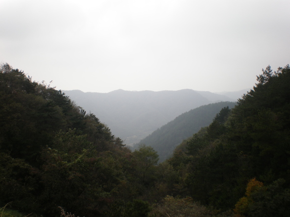 20101024_76.jpg