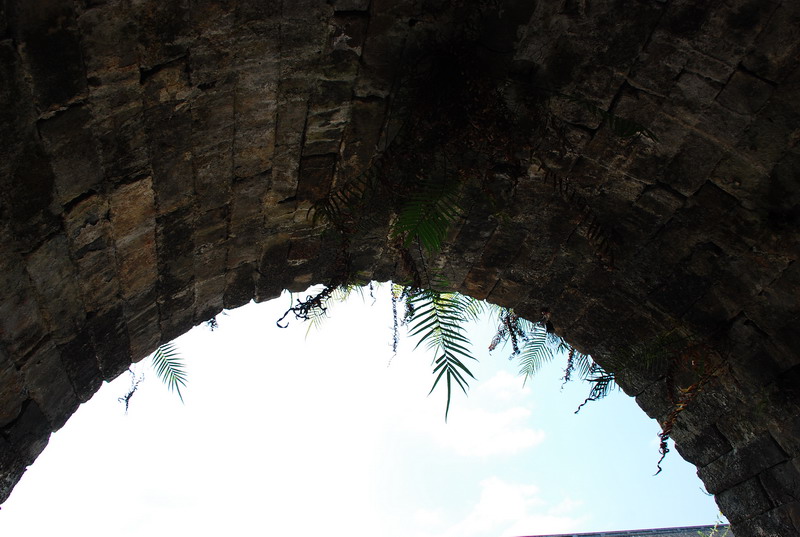 dsc_0079.jpg