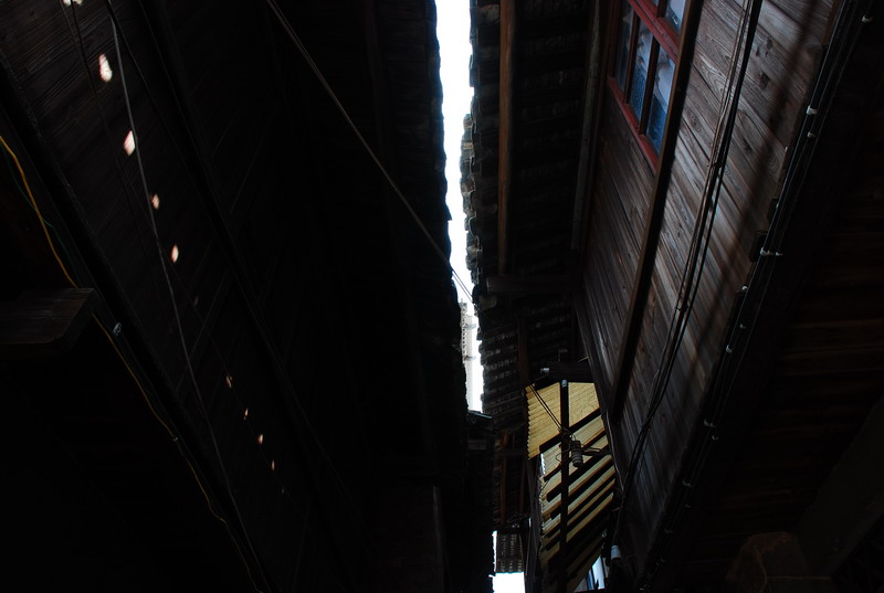 dsc_0095.jpg