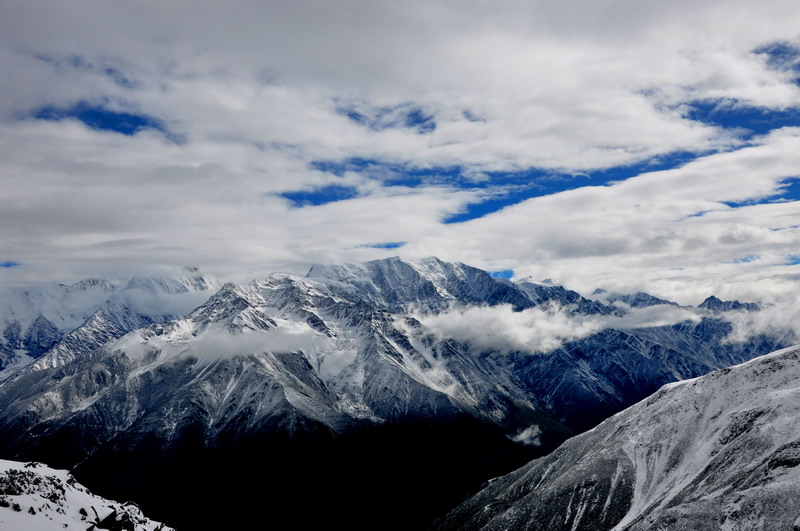 dsc_0707.jpg
