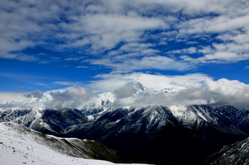 dsc_0732.jpg