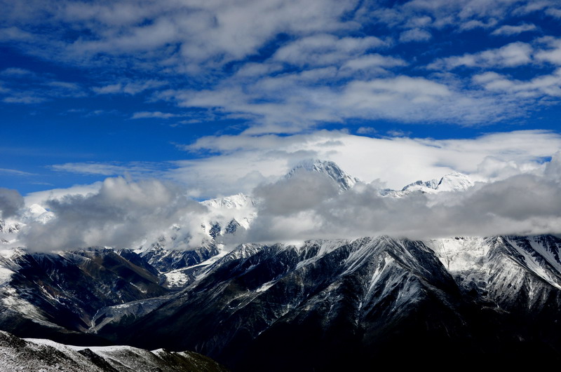 dsc_0737.jpg