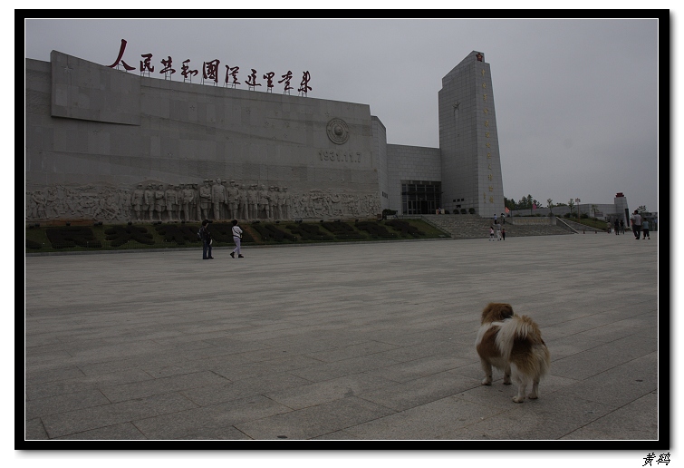_mg_4831.jpg