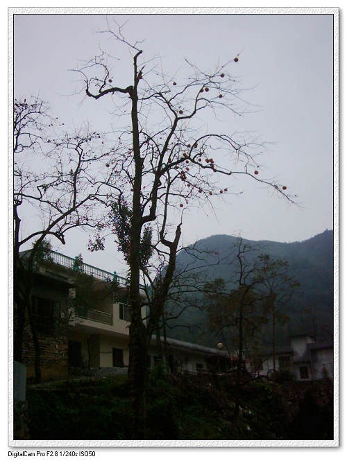 dsci0210.jpg