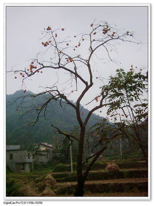 dsci0214.jpg