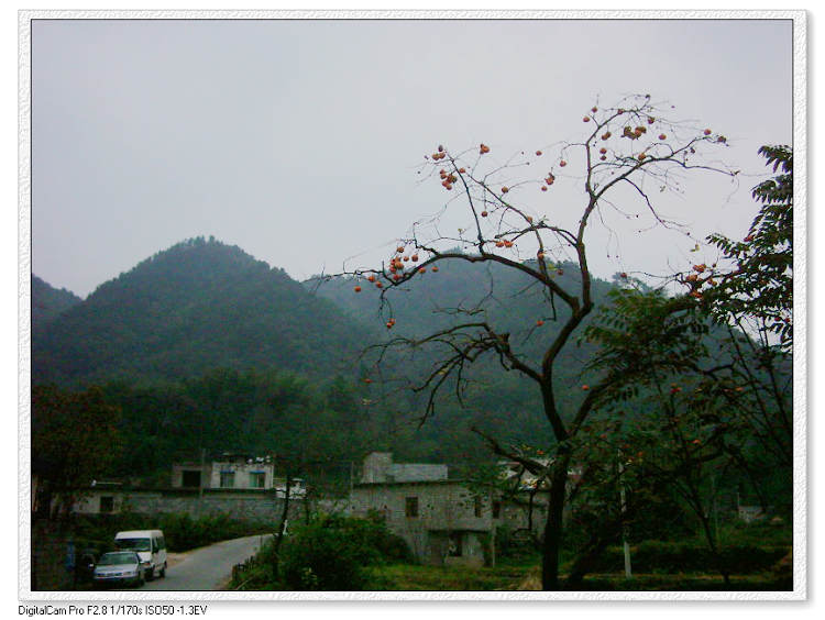 dsci0221.jpg