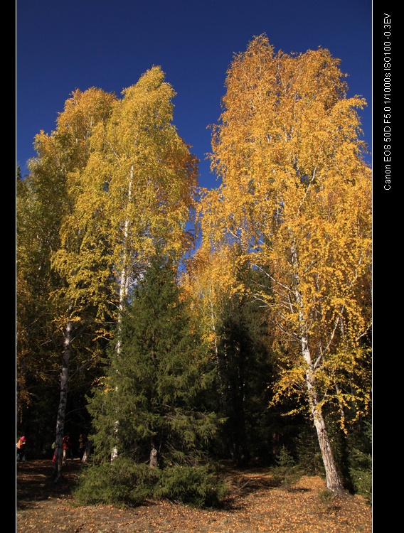 img_6665.jpg