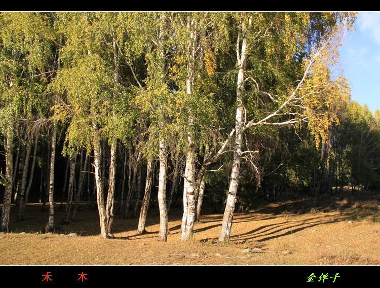 img_6712.jpg