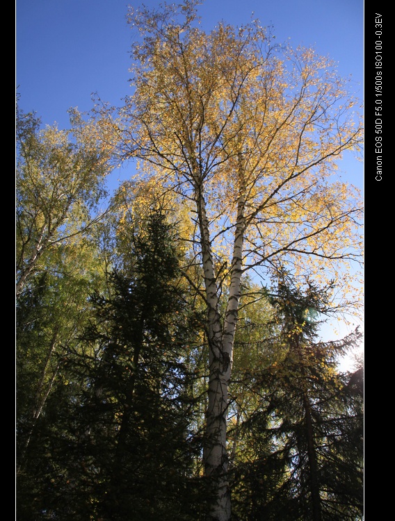 img_6620.jpg