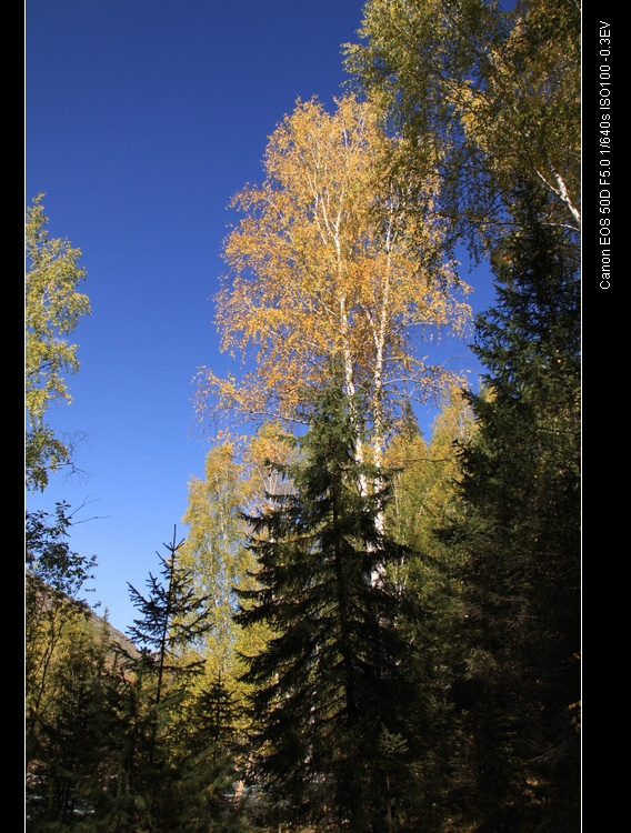img_6622.jpg