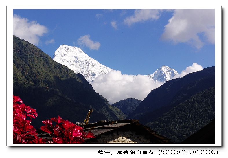 dsc09628.jpg