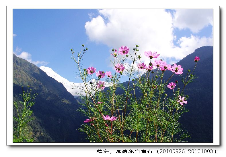 dsc09638.jpg