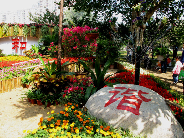 yuen 335.jpg
