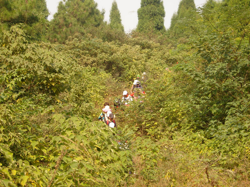  snc10070.jpg