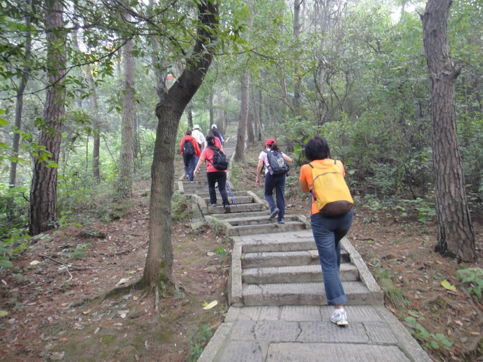 dsc03537.jpg