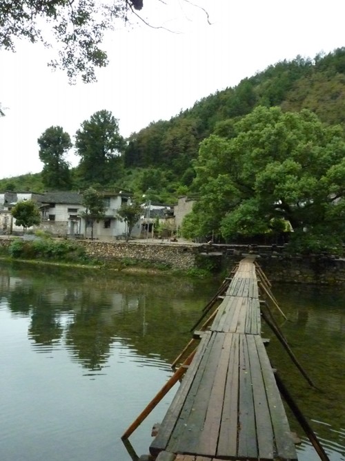 p1050233_conew1.jpg