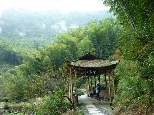 p1050336_conew1.jpg