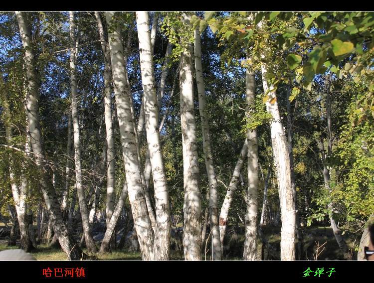 img_6985.jpg