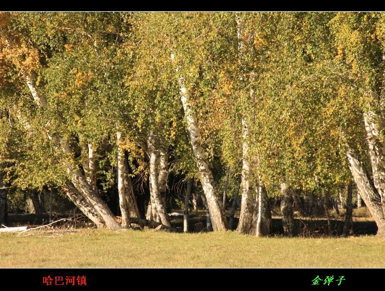 img_6990.jpg
