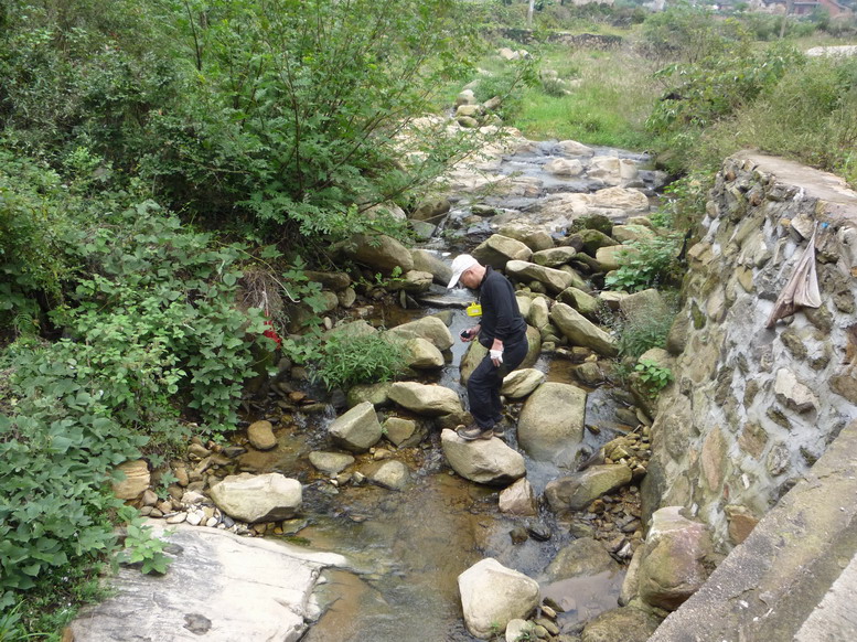 p1020412.jpg