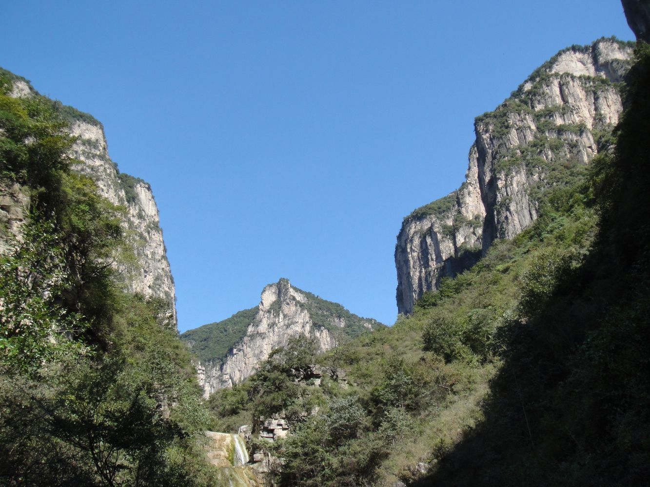 dsc00518.jpg