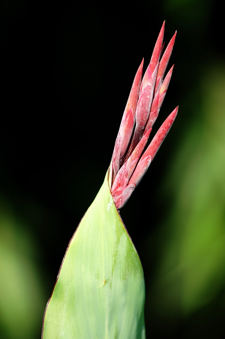 neo_img_dsc_5326.jpg