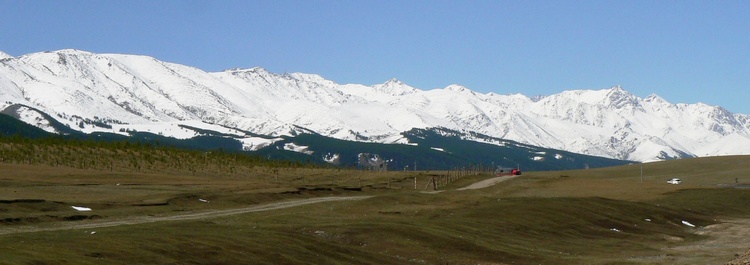 p1250195.jpg