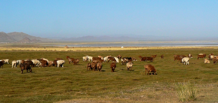 p1250276.jpg