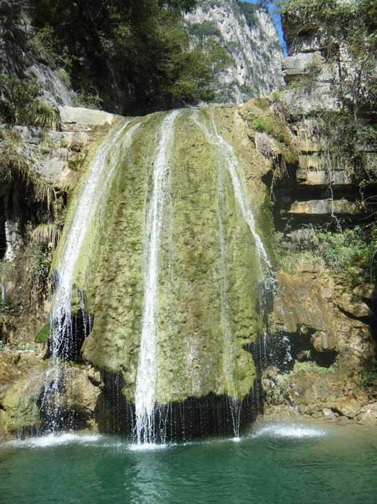 dscf1183.jpg