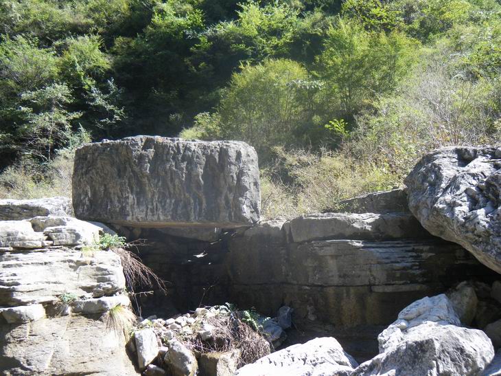 dscf1190.jpg