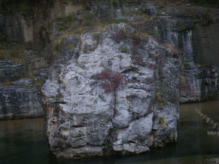 dscf1236.jpg