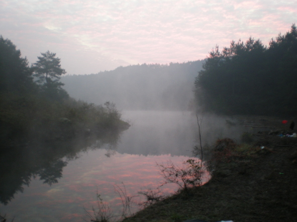 20101006_77.jpg