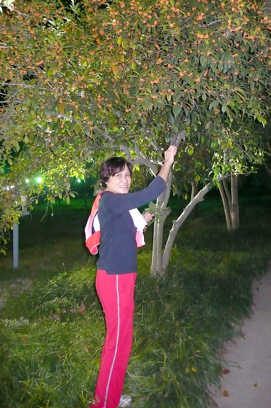 p1090364.jpg
