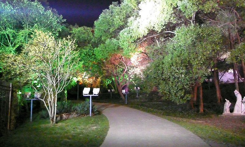 p1090365.jpg