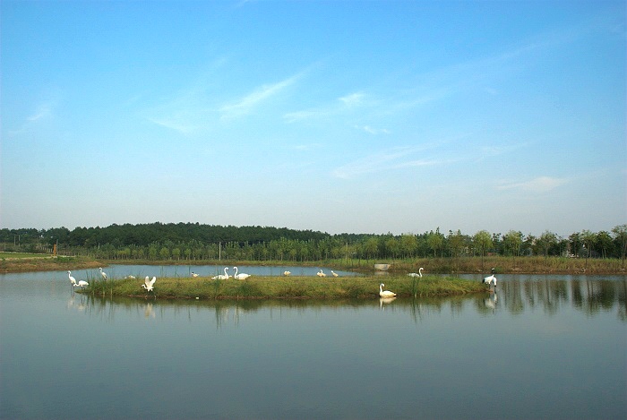 dsc_0192.jpg