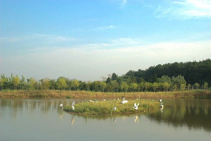dsc_0194.jpg