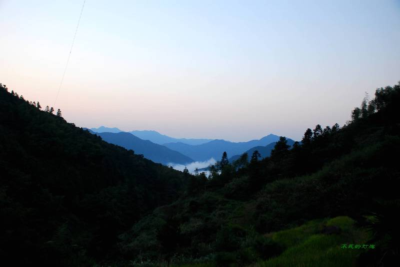 dsc_5172_neo_img.jpg
