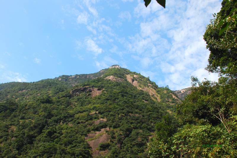 dsc_5250_neo_img.jpg