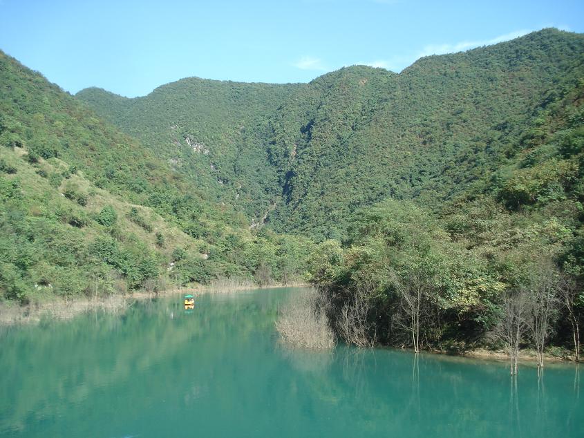 dsc03002.jpg