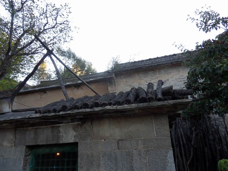 С sdc10791.jpg