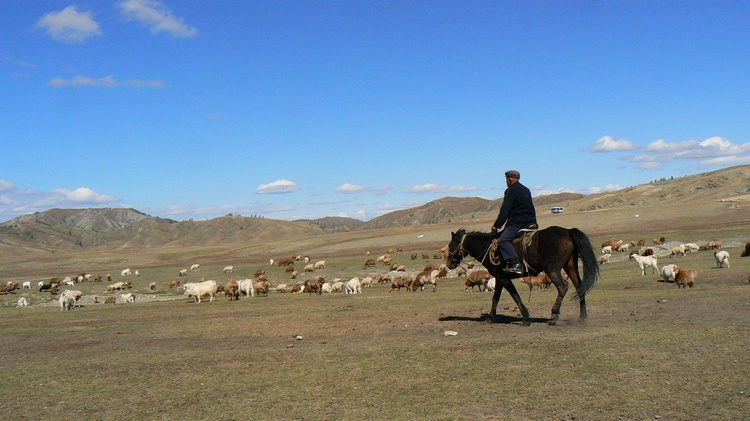 p1250703.jpg